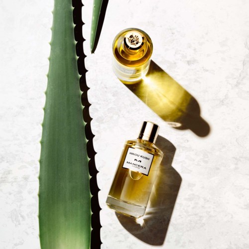 Et stort aloe vera blad ved siden af to små parfume flasker på en hvid overflade med skygger.
