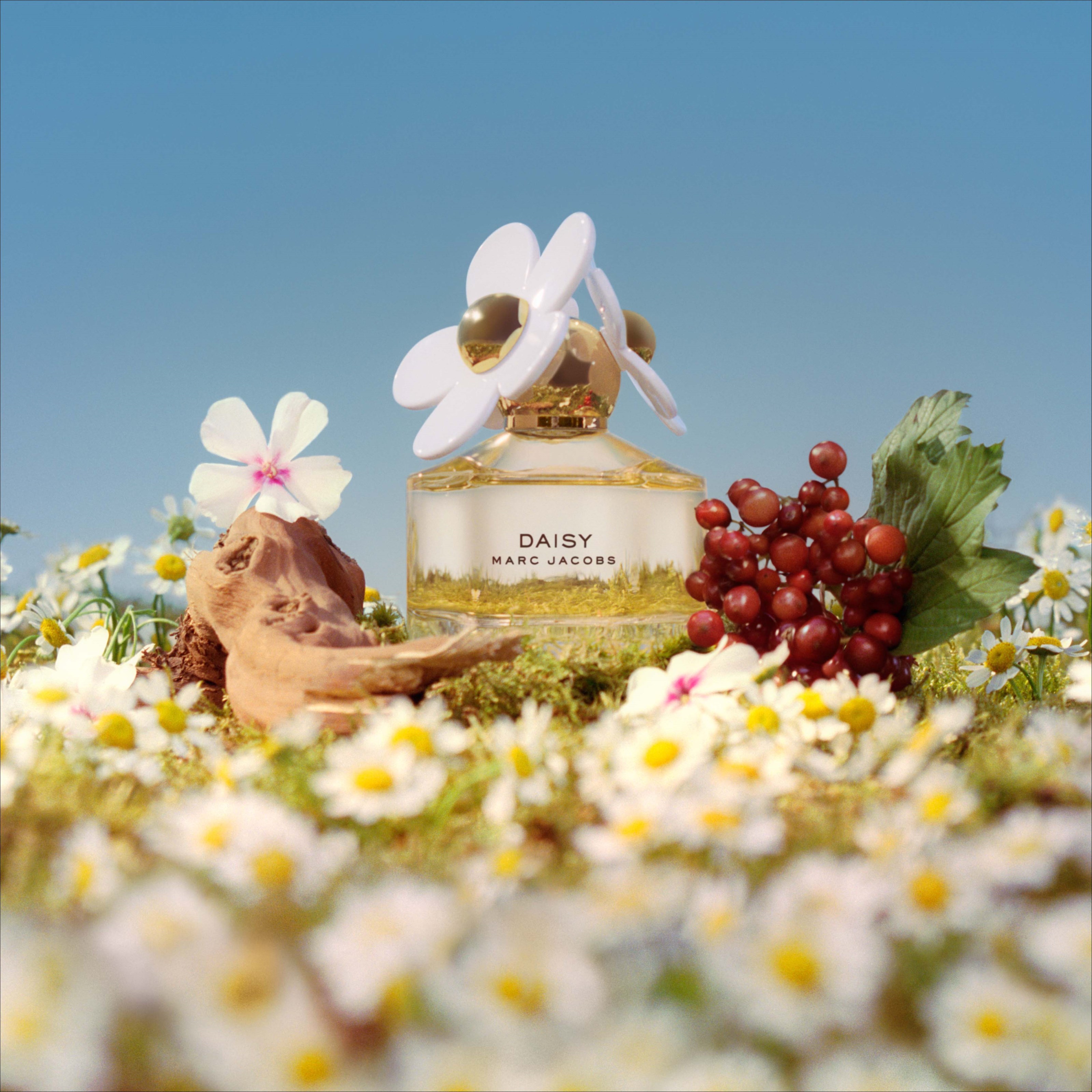 Marc Jacobs Daisy EdT 50 ml (obrázok 4)