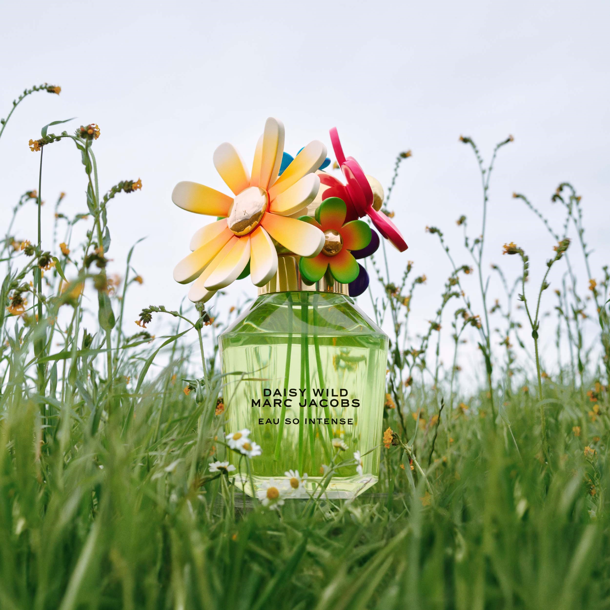 Marc Jacobs Wild Intense Eau de Parfum 100 ml (obrázok 5)