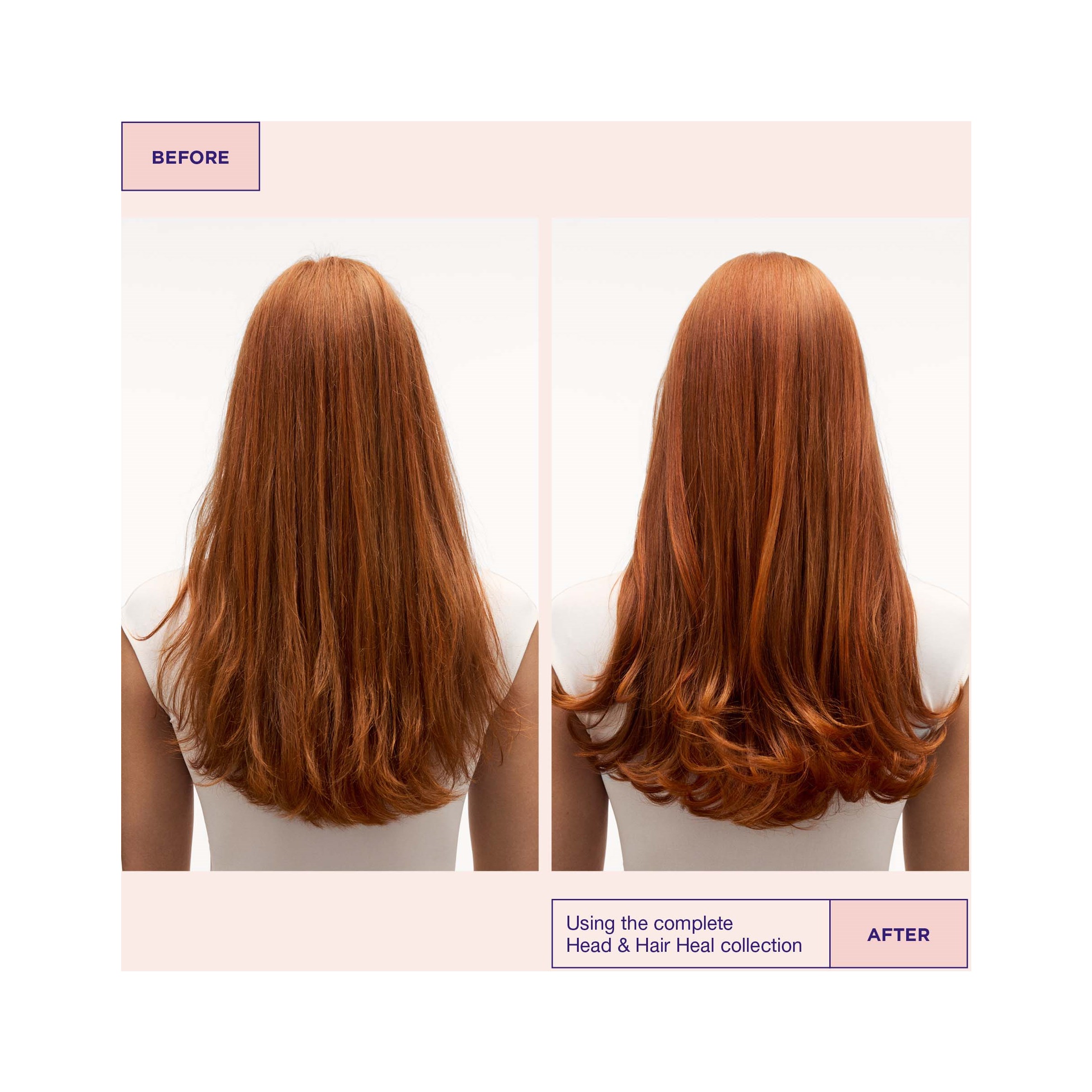 Alternativ bild 1 för Maria Nila Head & Hair Heal Shampoo 350 ml