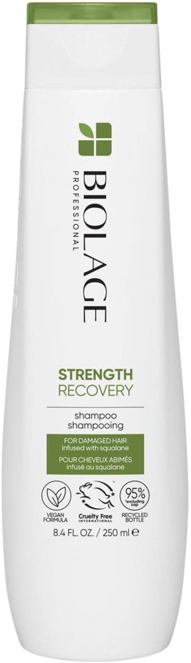 Matrix Strength Recovery Shampoo 250 ml