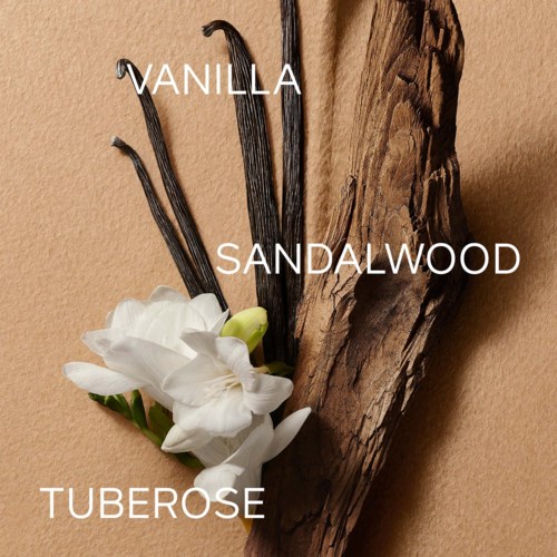 Illustration med duftnoter af vanilje, sandeltræ og tuberose med blomster og træ.