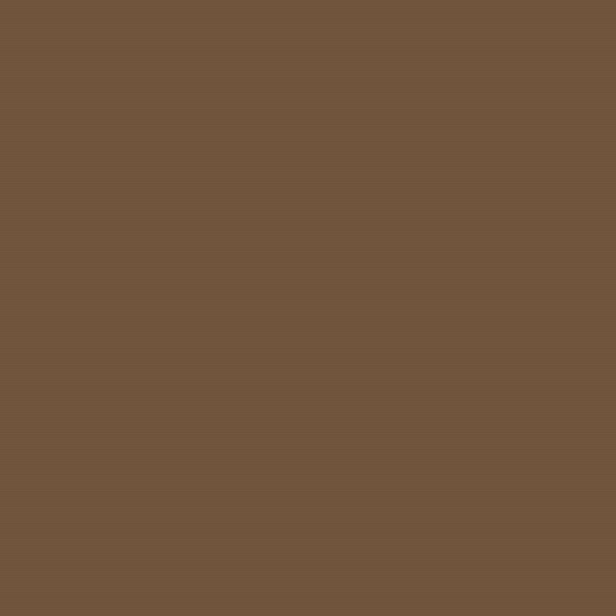 Meroda Cosmetics Precision Brow Pencil Medium Brown (obrázok 8)