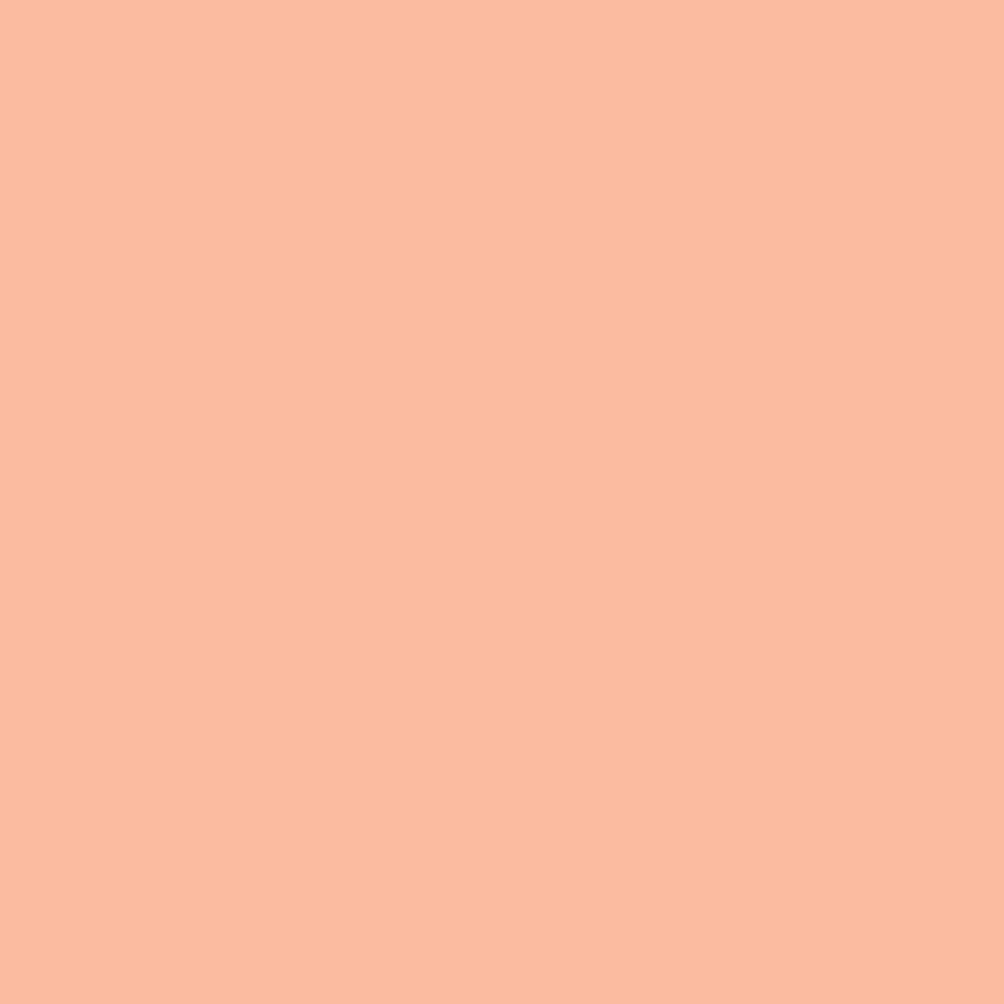 Meroda Cosmetics Universal Concealer 11W (obrázok 3)