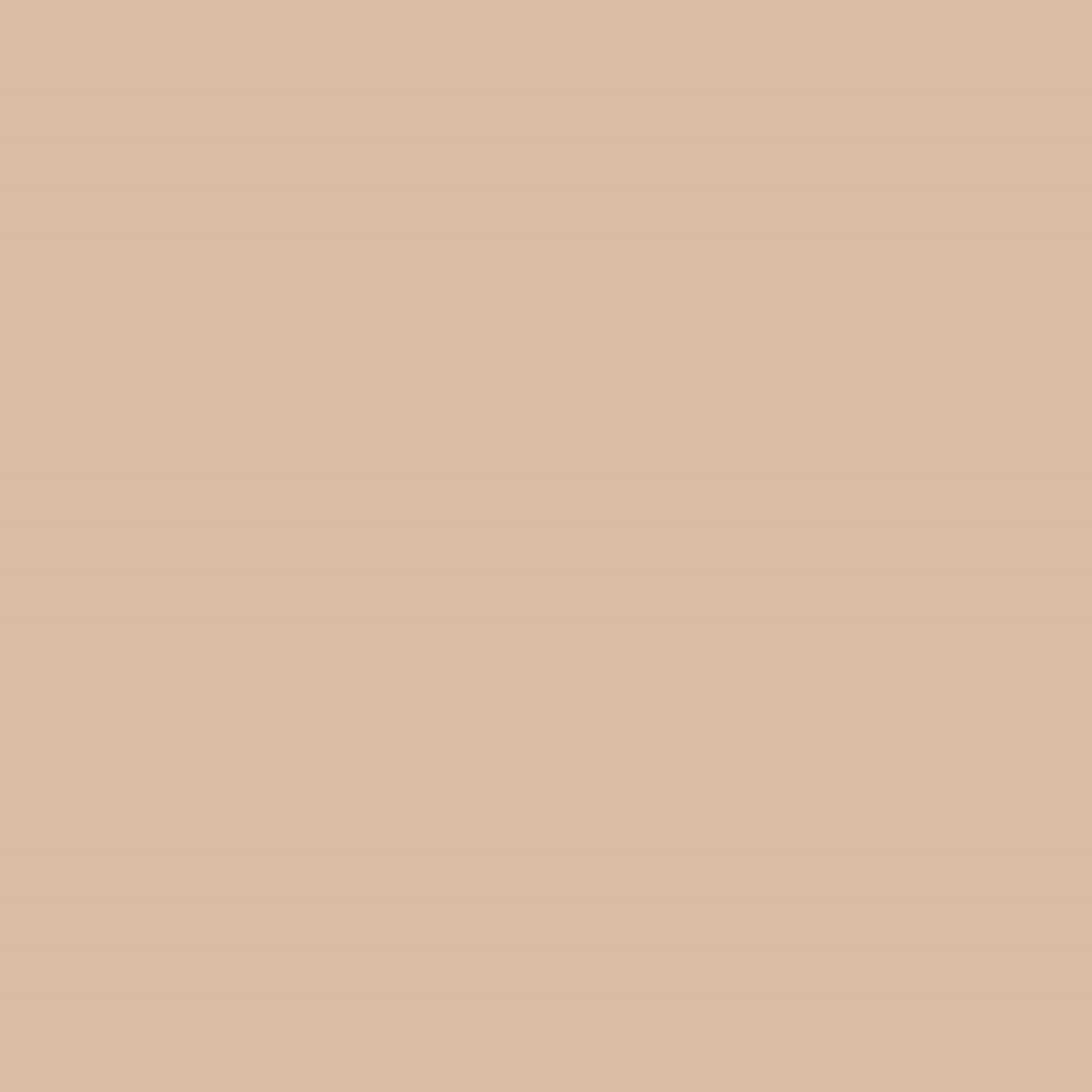 Meroda Cosmetics Universal Concealer 1C (obrázok 3)