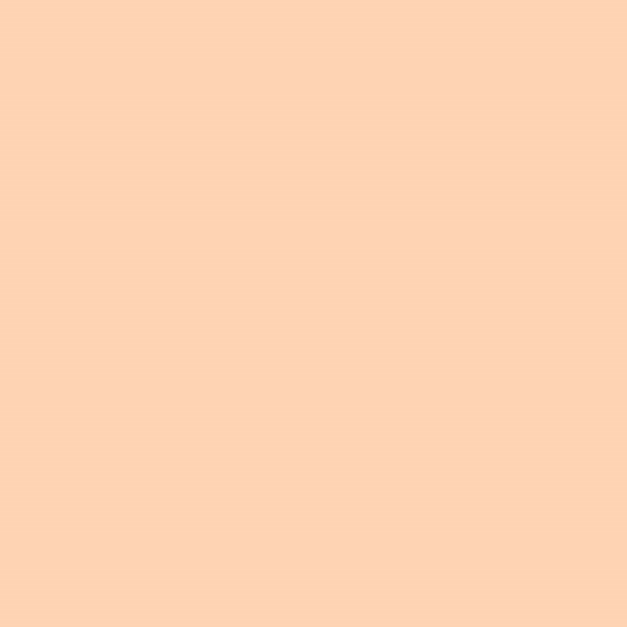 Meroda Cosmetics Universal Concealer 4W (obrázok 3)