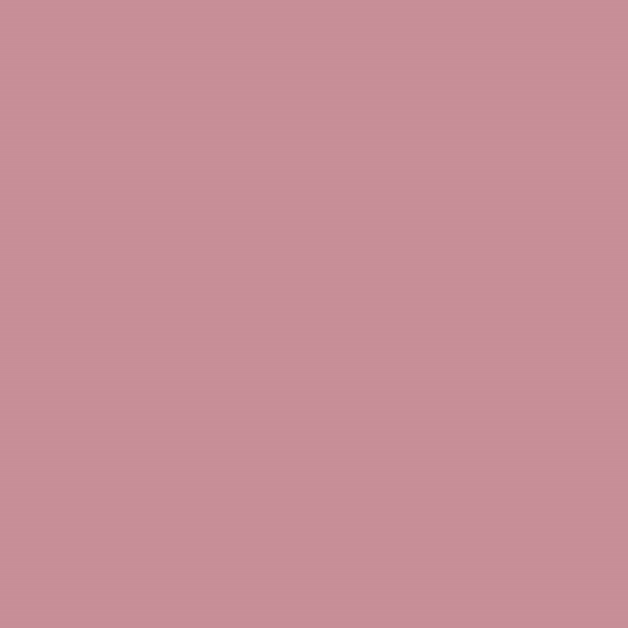 Meroda Cosmetics Vibrant Cheeks Blush Dusty Rose (obrázok 10)