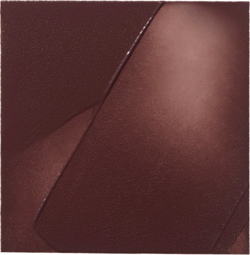 Close-up of brown textured surface with overlapping smooth shapes.