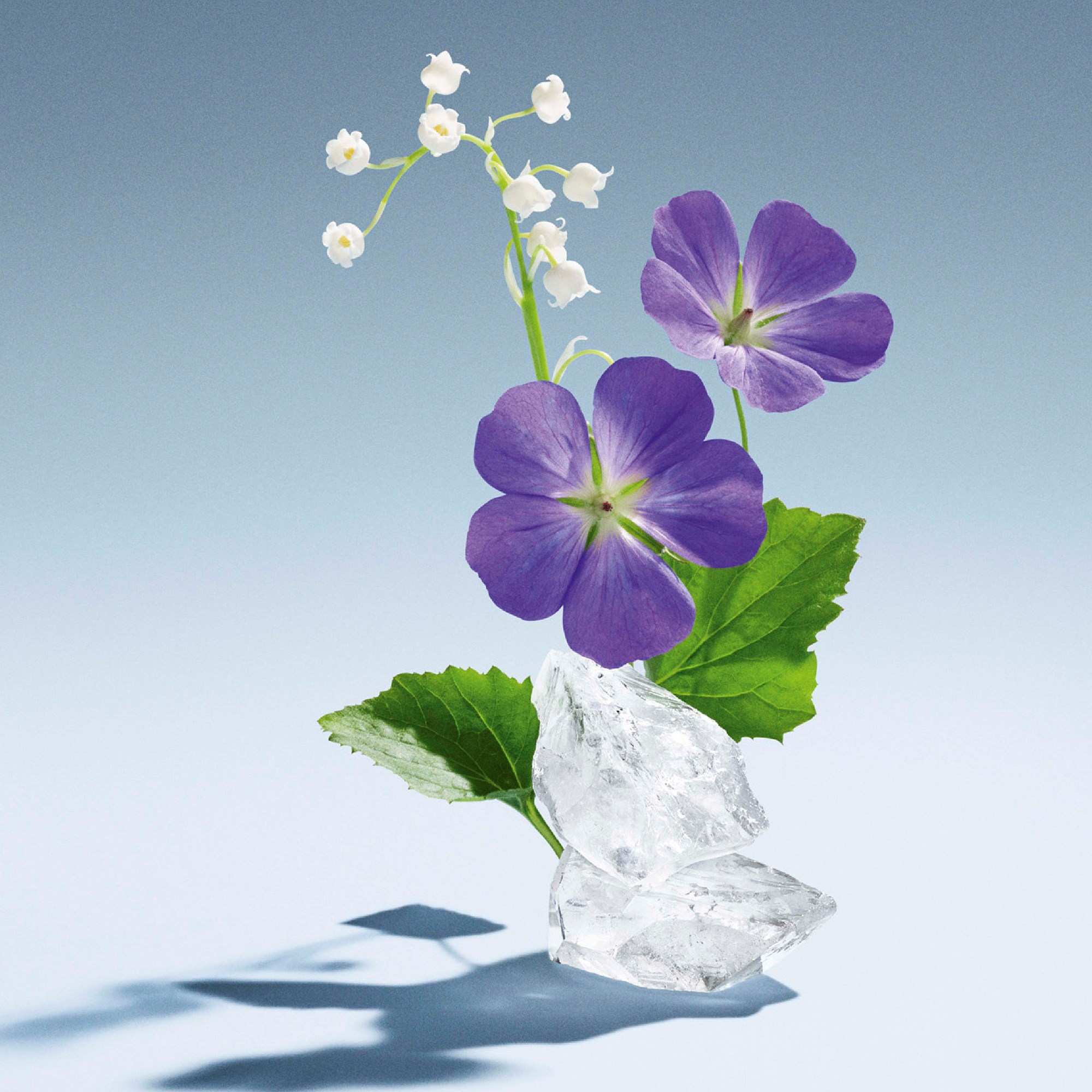 Miu Miu L'eau Bleue Eau de Parfum 30 ml (obrázok 3)