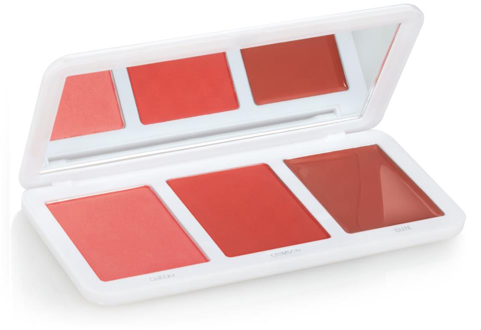 Models Own Rock 'n' Rosy Blusher Palette Rosy Red