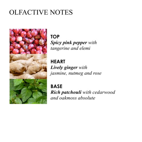 Luettelo nimeltä 'Olfactive Notes' sisältää kuvaukset pinkkipippurista, inkivääristä ja patchoulista. Jokaisella on kuva ja tiedot.
