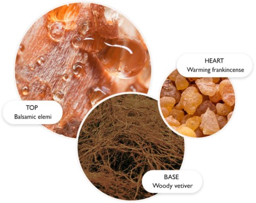 Diagram met lagen: boven met balsamische elementen, midden met wortels, onder met woody vetiver. Hart met frankincense.