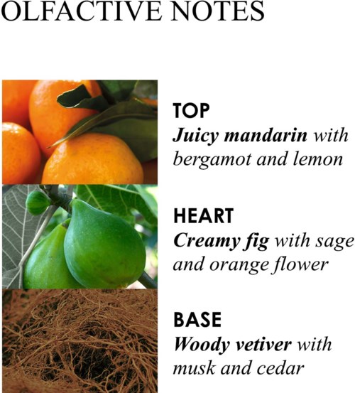 Molton Brown Lemon & Mandarin Hand Collection