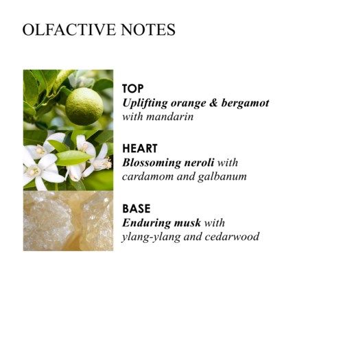 Tekst, der angiver tre duftnoter: top citrus og bergamot, hjerte neroli, bund musk med trænoter.