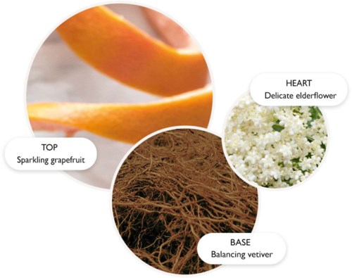 Molton Brown Vintage With Elderflower Body Lotion 300 ml