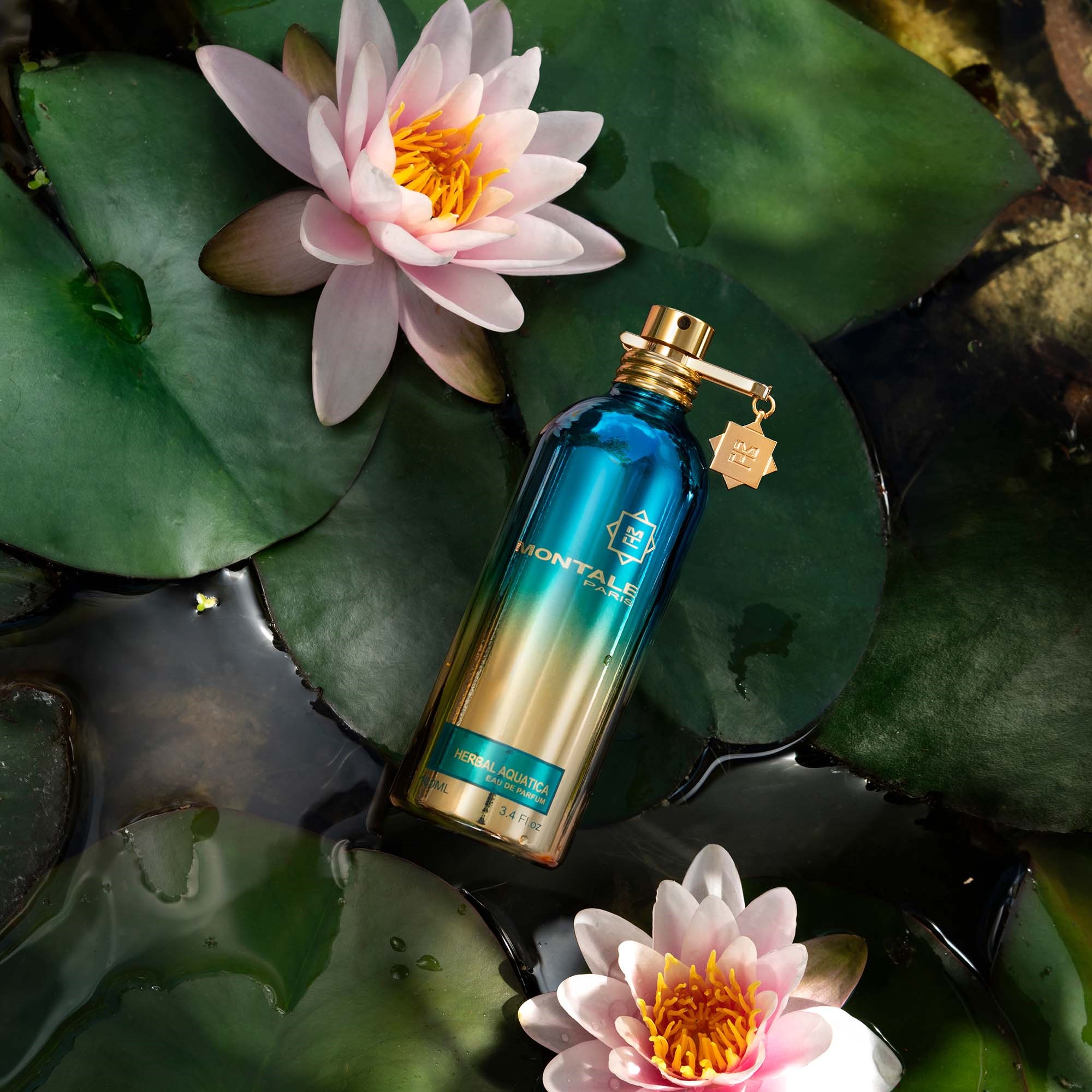 Montale Herbal Aquatica Eau de Parfum 100 ml (obrázok 4)