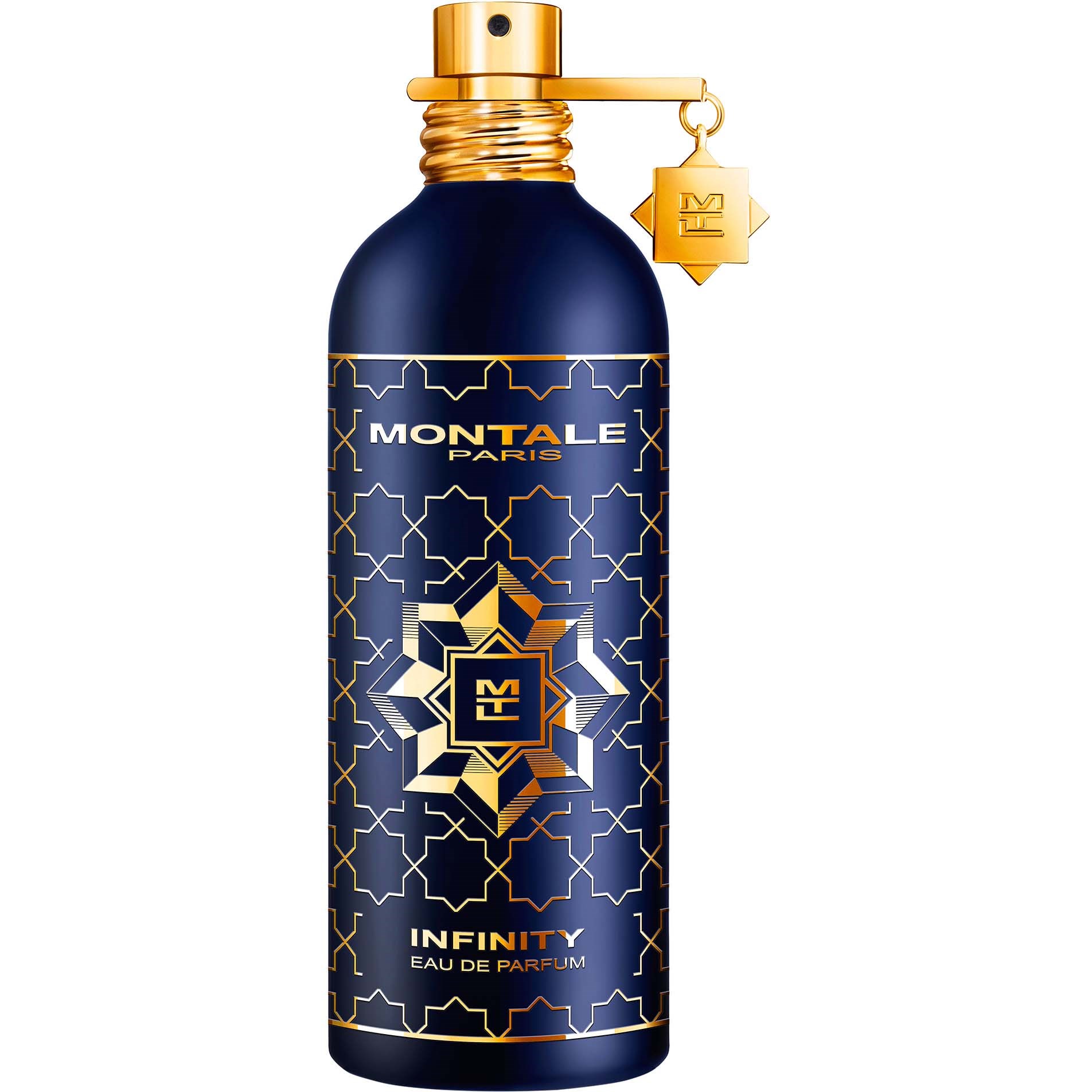 Montale Infinity Eau de Parfum 100 ml billede