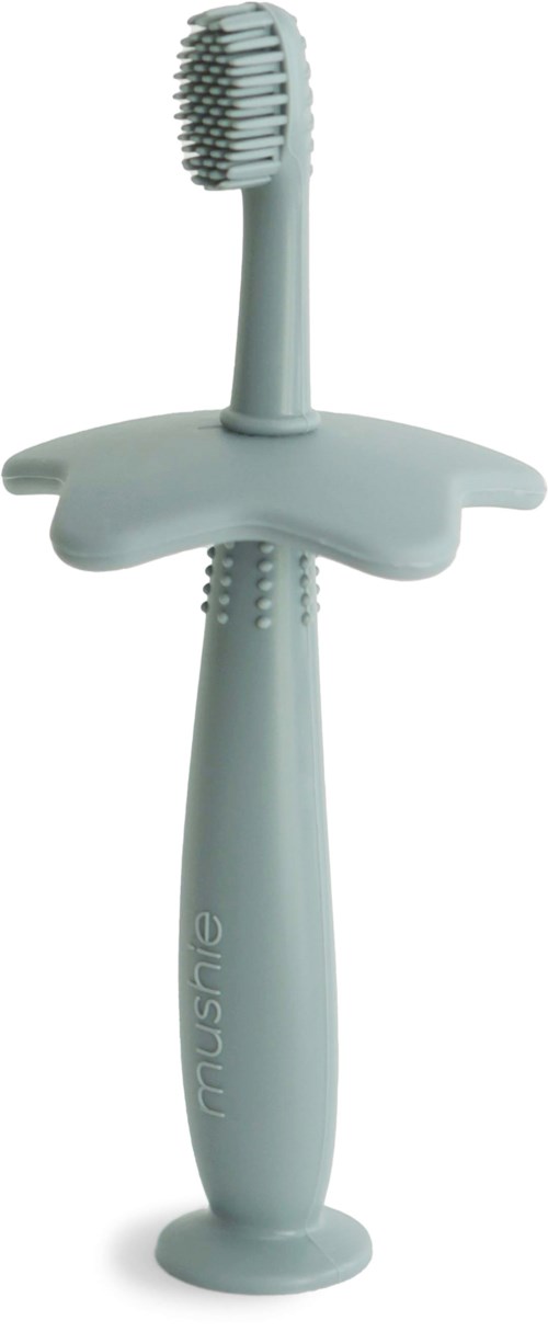 A cleaning tool with a handle, scrubbing head, and a smaller brush attached. The tools are gray and look for cleaning.