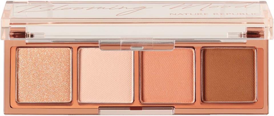 Nature Republic Daily Basic Palette 04 Coral 2,6 g