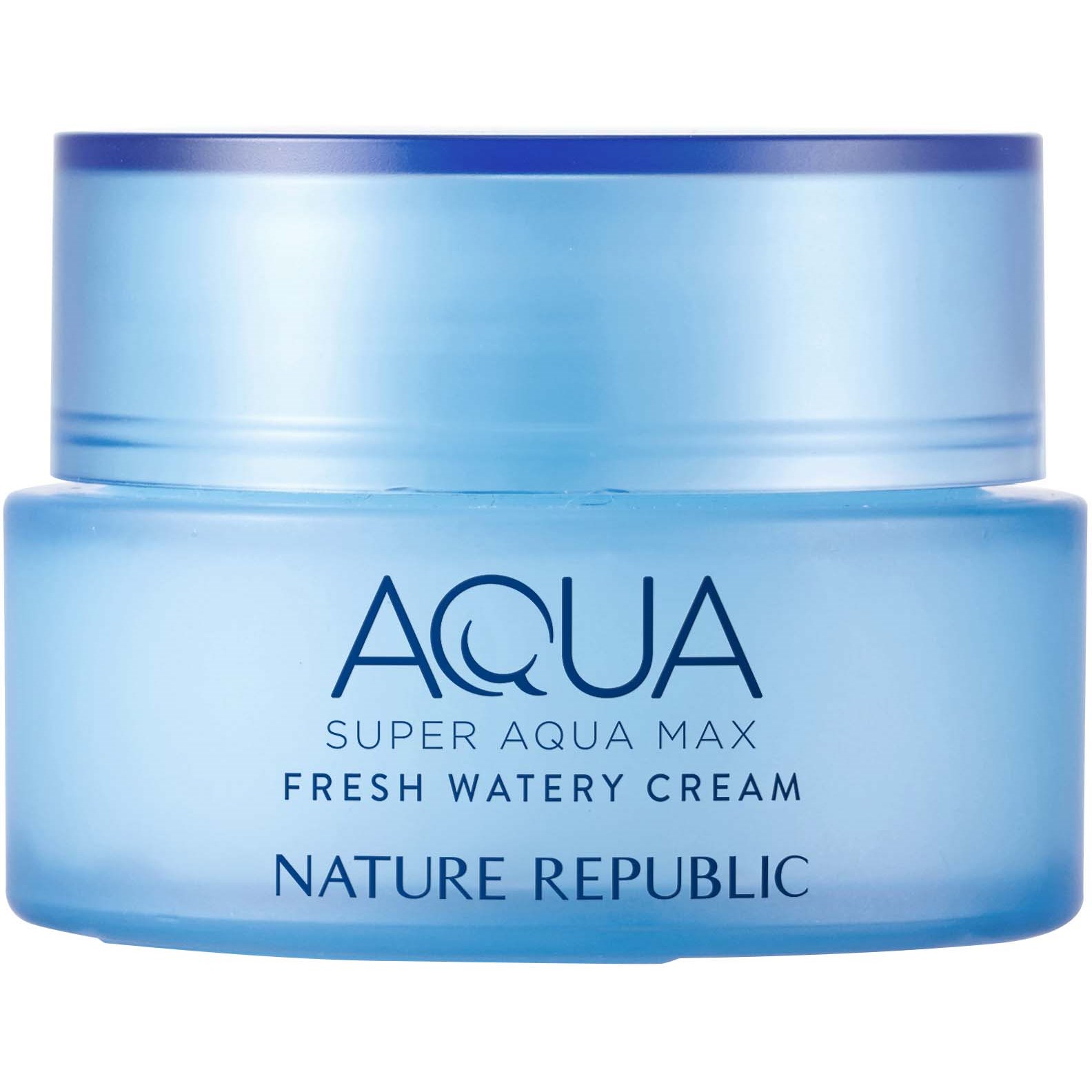 Läs mer om Nature Republic Super Aqua Max Fresh Watery Cream 80 ml