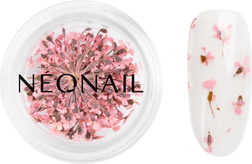 NEONAIL Dried Flowers 01 - Pink