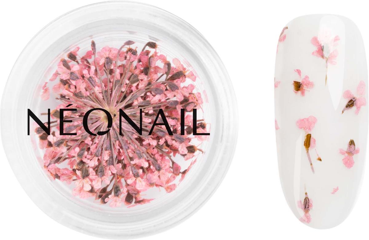 NEONAIL Dried Flowers 01