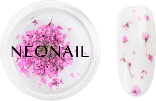 NEONAIL Dried Flowers 02 - Purple