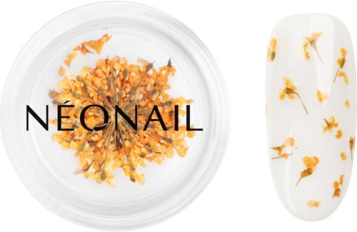 NEONAIL Dried Flowers 03 - Orange