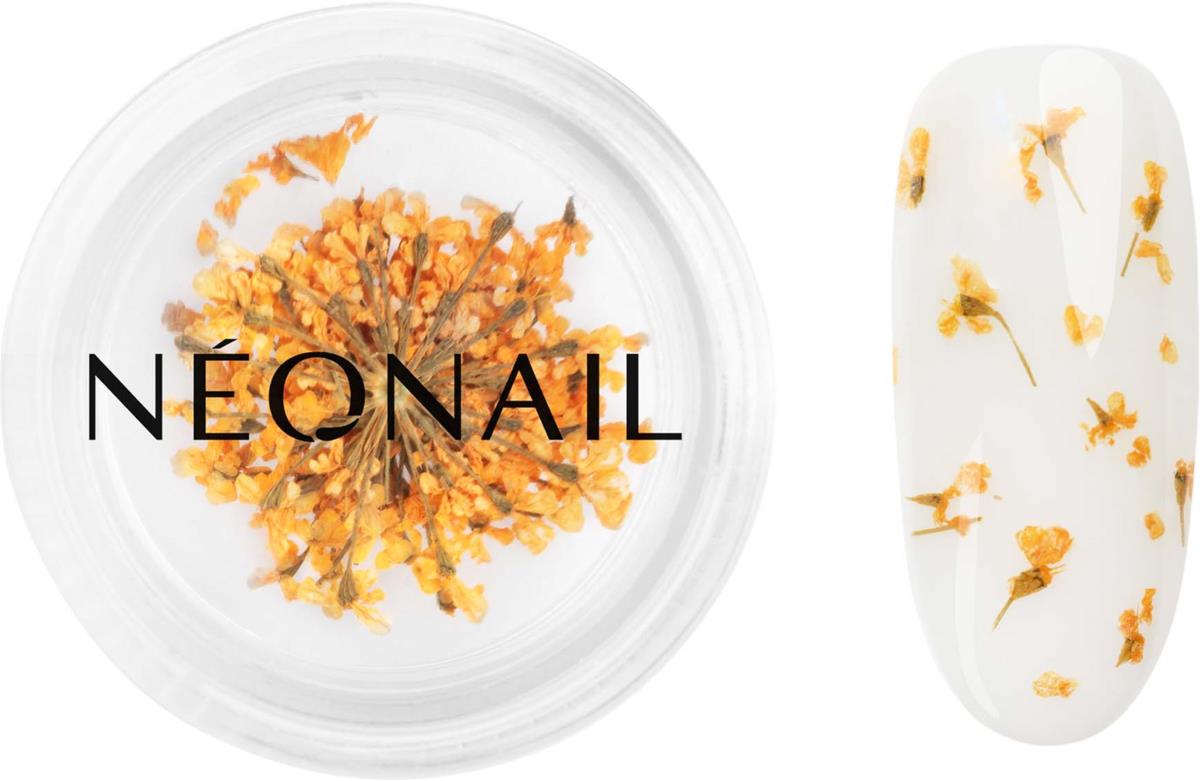 NEONAIL Dried Flowers 03