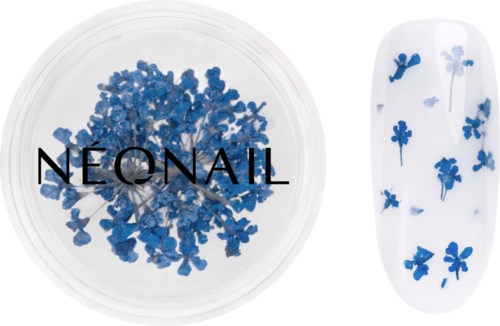 NEONAIL Dried flowers Navy