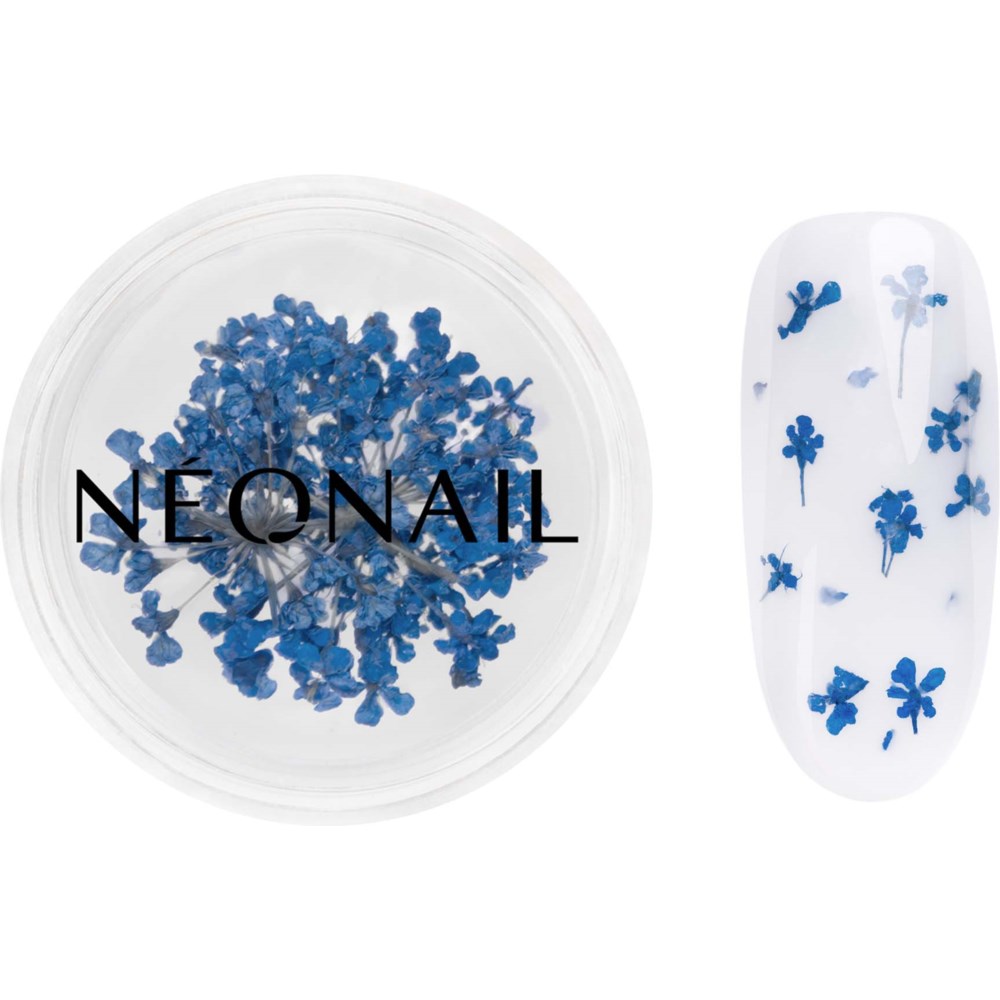 NEONAIL NEONAIL Dried flowers Navy