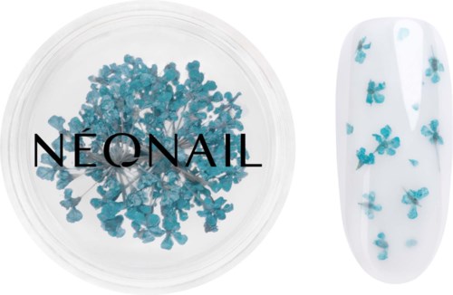 NEONAIL Dried flowers Turquoise