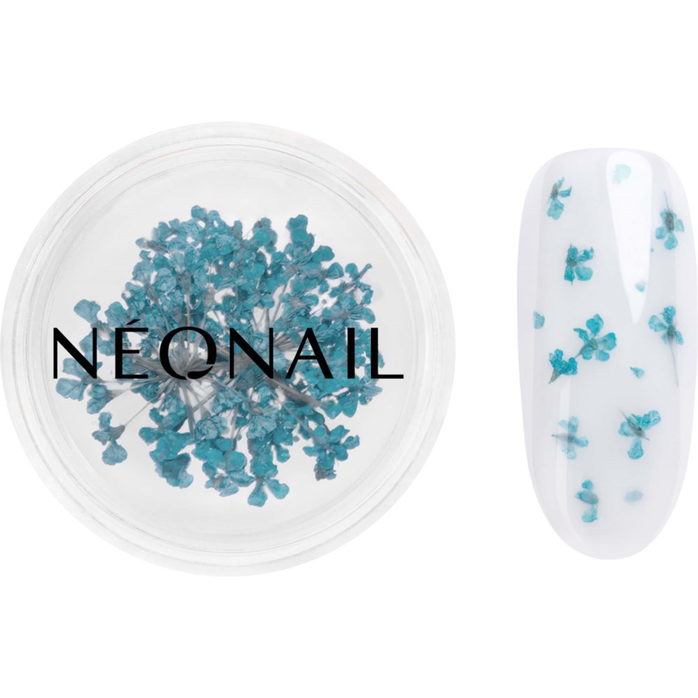 NEONAIL NEONAIL Dried flowers Turquoise