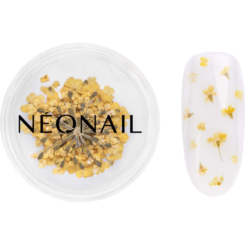 NEONAIL NEONAIL Dried flowers 07 Yellow