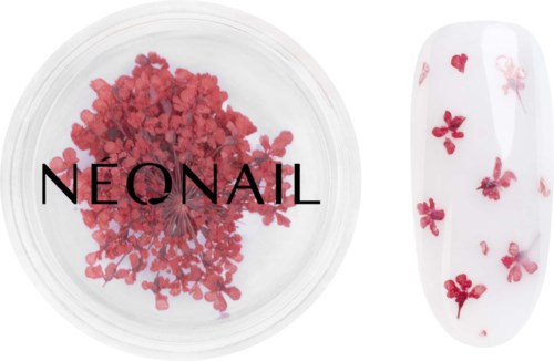 NEONAIL Dried flowers 08 Red