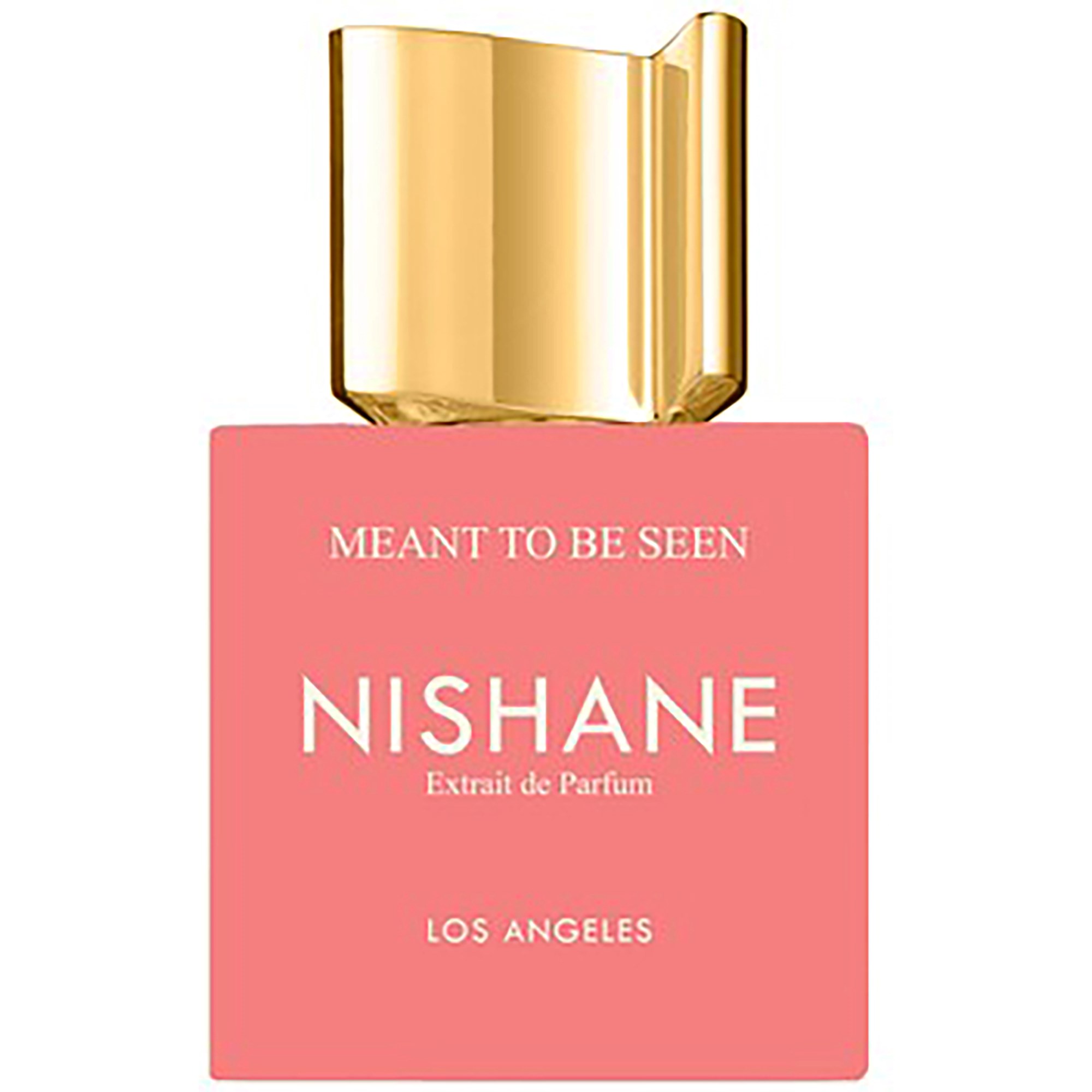 Nishane Meant To Be Seen Eau de Parfum 100 ml billede