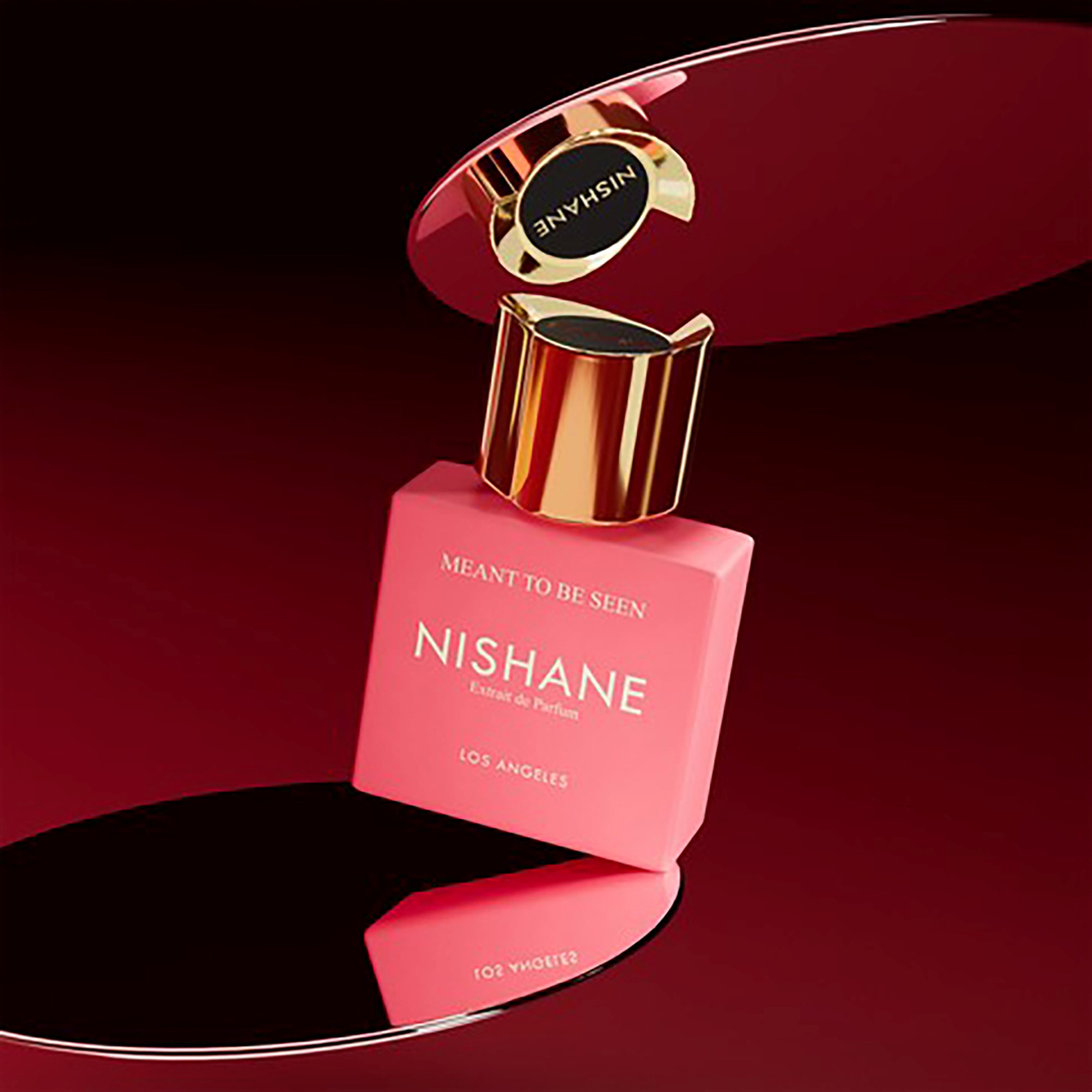 Nishane Meant To Be Seen Eau de Parfum 100 ml (obrázok 3)