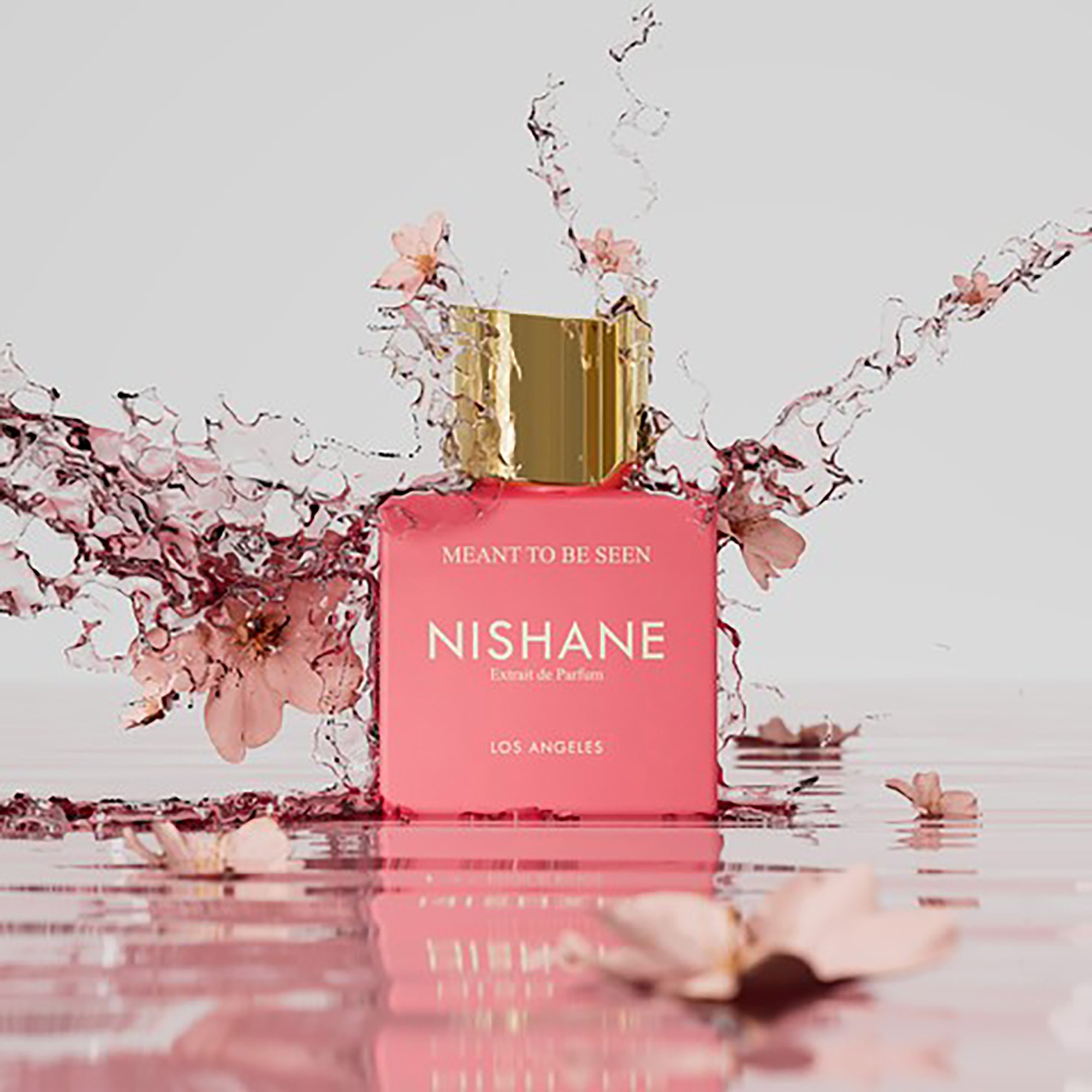 Nishane Meant To Be Seen Eau de Parfum 100 ml (obrázok 4)