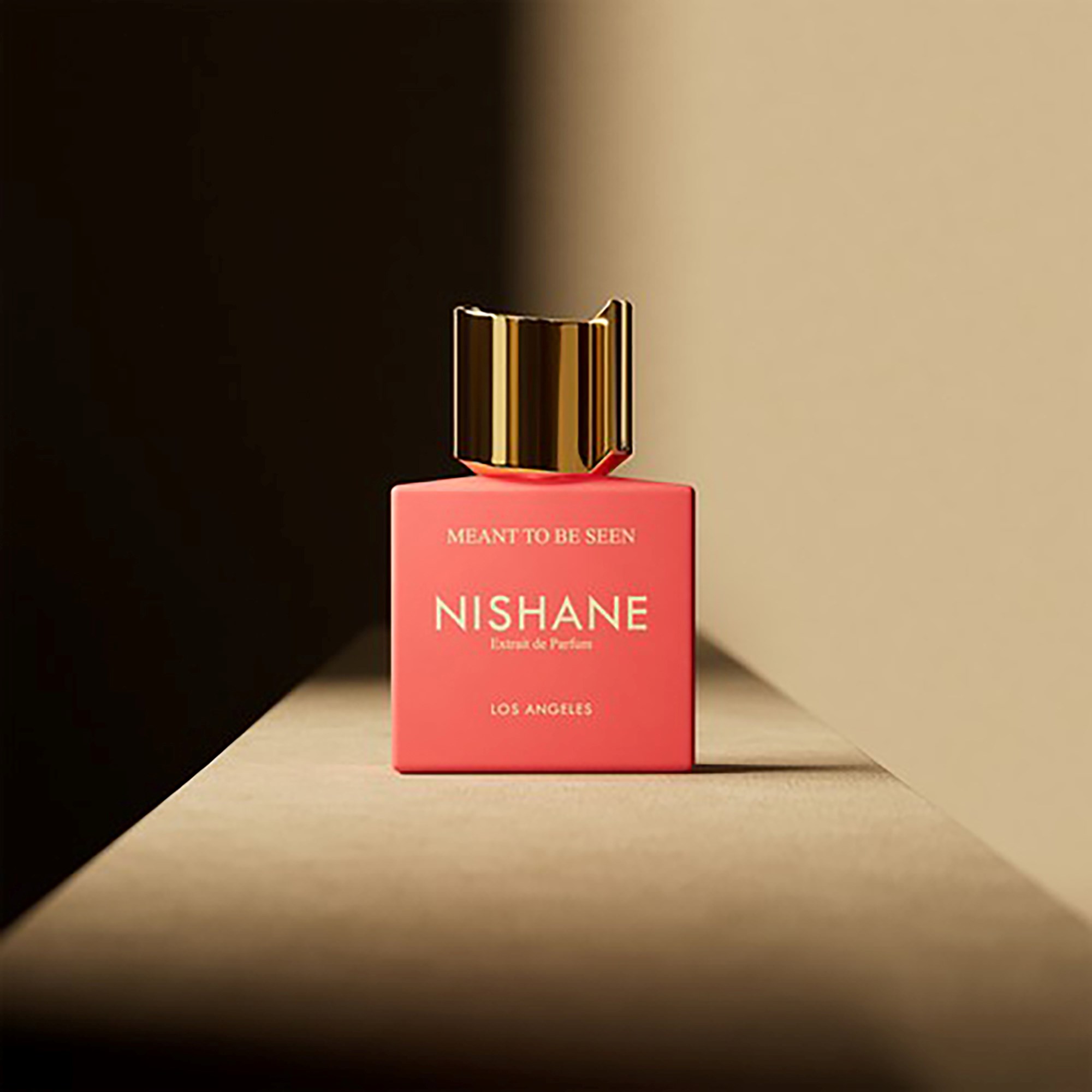 Nishane Meant To Be Seen Eau de Parfum 100 ml (obrázok 5)
