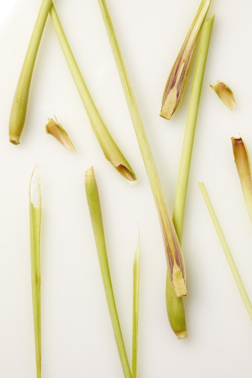 NIVEA Lemon & Oil Shower Gel 250 ml