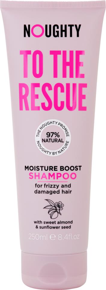 Noughty Moisture Boost Shampoo 250ml