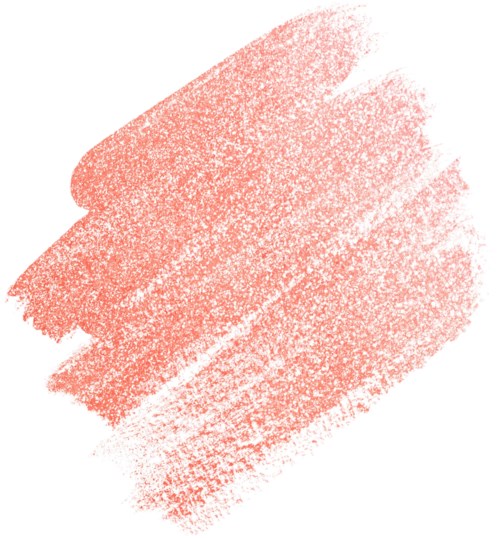 En stor, texturerad, orange-röd borste på vit bakgrund.