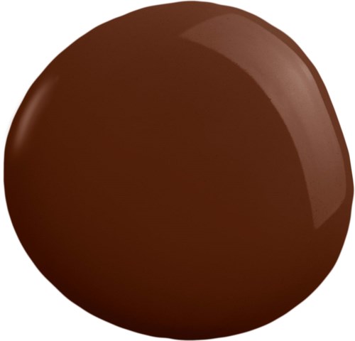 A brown, shiny, rounded object that looks like a smooth stone or a piece of chocolate.