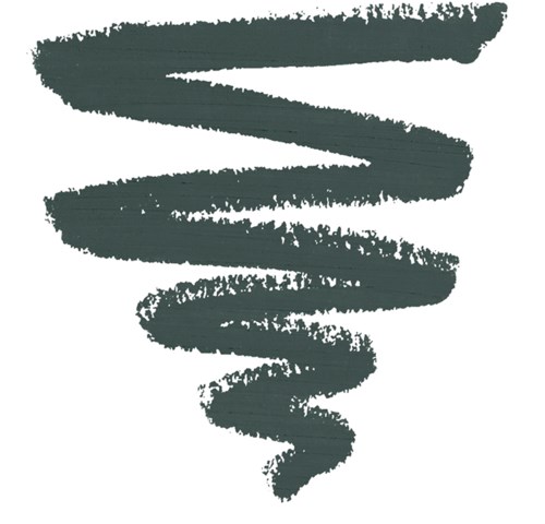 A dark, spiral brushstroke with rough edges, forming a loose, elongated S shape on a white background.