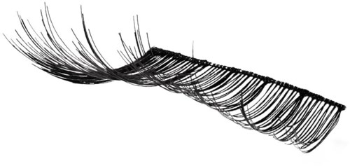 A detailed drawing of an eyelash, showing individual lash strands curving outward.
