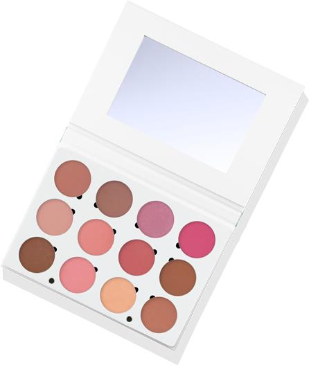 Ofra Cosmetics Rouge Professional Blush Palette