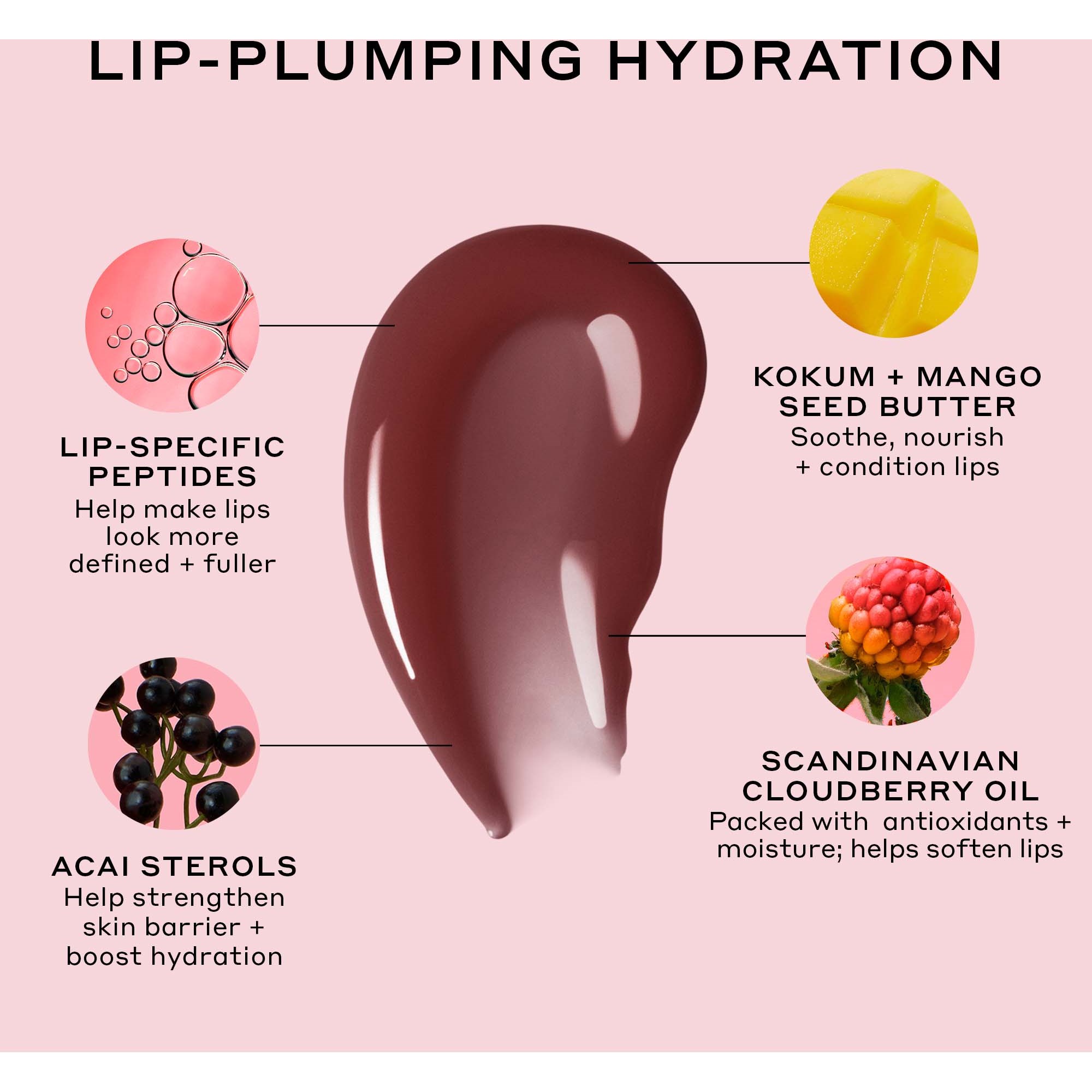 OLEHENRIKSEN Pout Preserve Peptide Lip Treatment Cocoa Crème (obrázok 5)