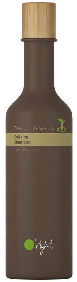 O'right Caffeine Shampoo-Tree In The Bottle 250ml