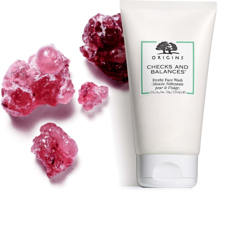 Origins Checks And Balances Frothy Face Wash