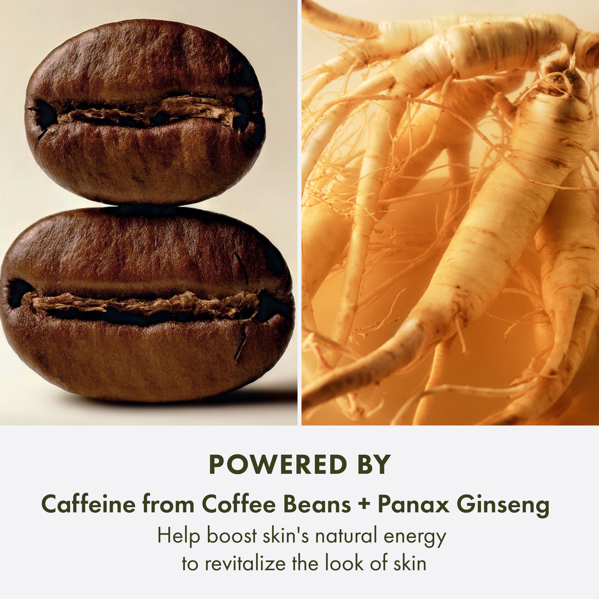 Origins GinZing Energizing Rich Cream 50 ml (obrázok 7)